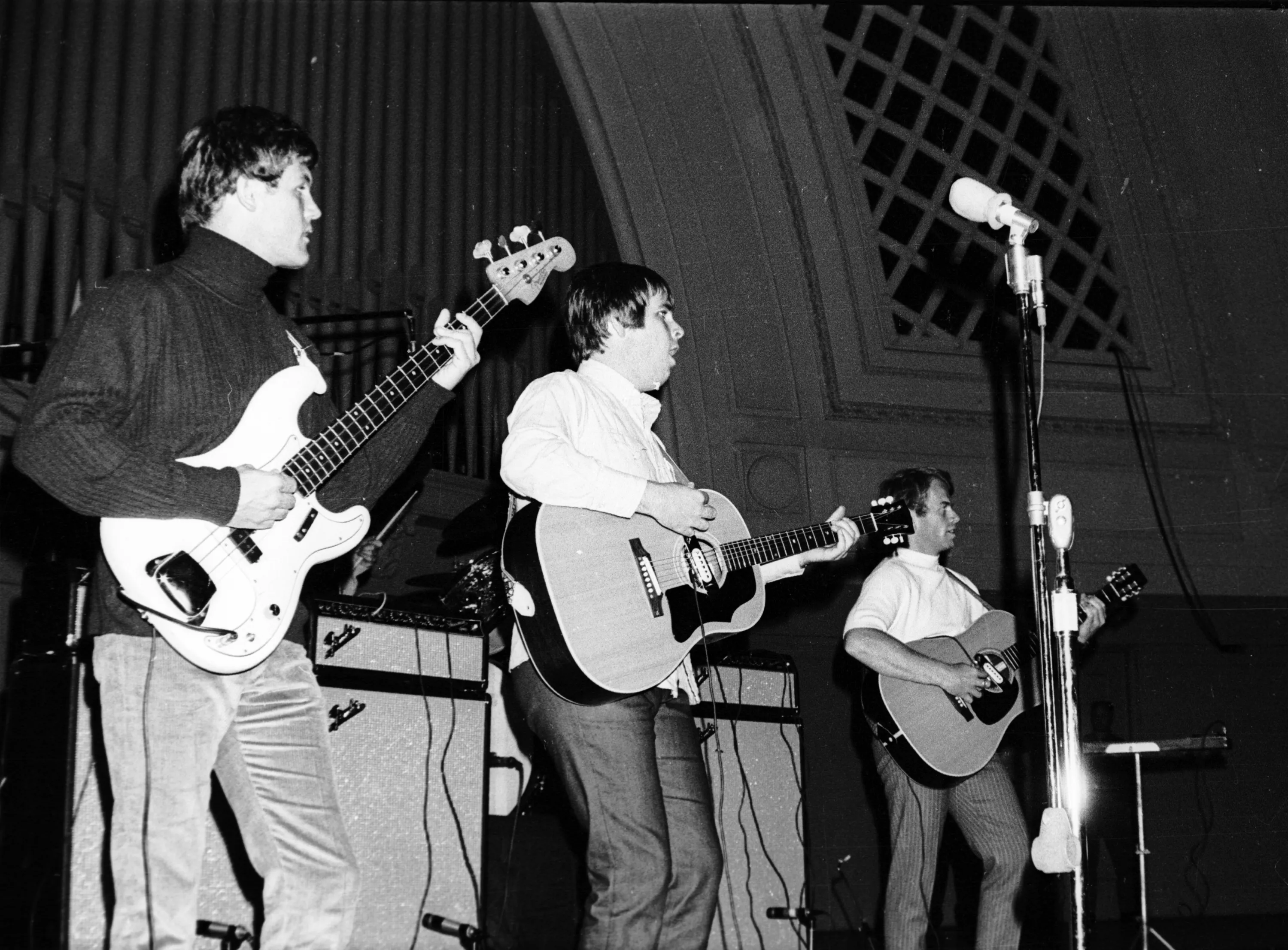 Crowd at a The Beach Boys show
